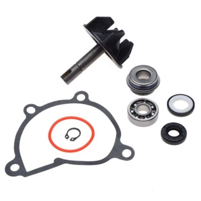 Ремкомплект помпы Motorace AY57294