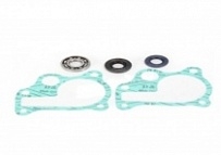 Ремкомплект помпы Bearing Worx WMK30005