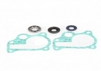 Ремкомплект помпы Bearing Worx WMK30005