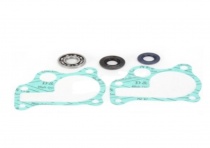 Ремкомплект помпы Bearing Worx WMK30005