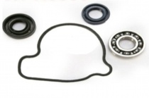 Ремкомплект помпы Bearing Worx WMK30007