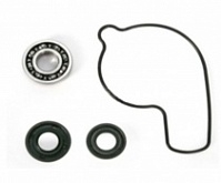 Ремкомплект помпы Bearing Worx WMK30009