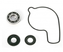 Ремкомплект помпы Bearing Worx WMK30009