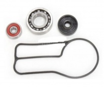 Ремкомплект помпы Bearing Worx WMK60006