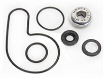 Ремкомплект помпы Bearing Worx WMK70008