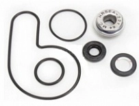 Ремкомплект помпы Bearing Worx WMK70008