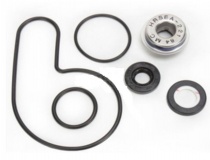 Ремкомплект помпы Bearing Worx WMK70008