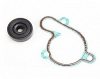 Ремкомплект помпы Bearing Worx WMK90001