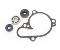 Ремкомплект помпы Bearing Worx WMK90003