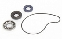 Ремкомплект помпы Bearing Worx WMK90004