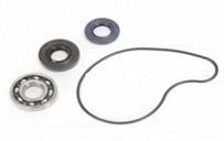 Ремкомплект помпы Bearing Worx WMK90004
