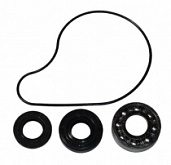 Ремкомплект помпы Bearing Worx WMK90005