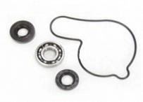 Ремкомплект помпы Bearing Worx WMK90007