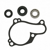 Ремкомплект помпы Hot Rods HR00152