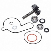 Ремкомплект помпы Motorace AY57295