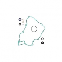 Ремкомплект помпы Pro-x 57.6218