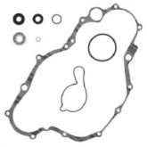 Ремкомплект помпы Winderosa 821687