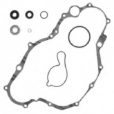 Ремкомплект помпы Winderosa 821687
