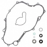 Ремкомплект помпы Winderosa 821869