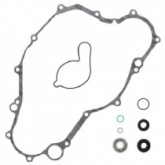 Ремкомплект помпы Winderosa 821869