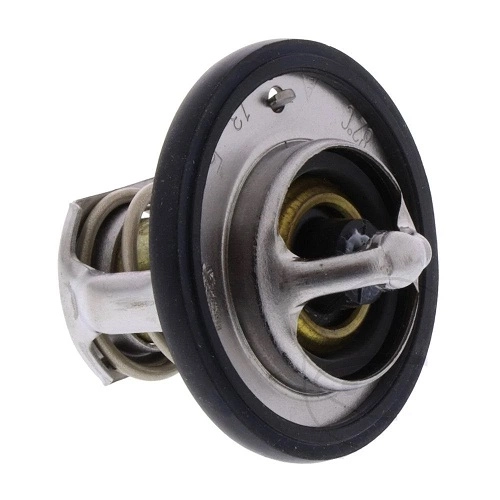 Термостат Tourmax TMT-305