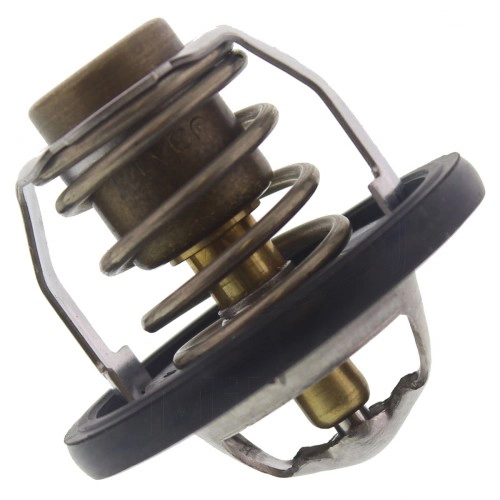 Термостат Tourmax TMT-302
