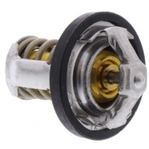 Термостат Tourmax TMT-306