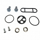 Ремкомплект крана топливного Bearing Worx FCK90013