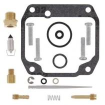 Ремкомплект карбюратора Pro-x 55.10108