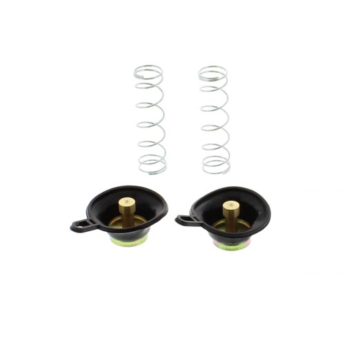 Ремкомплект карбюратора Tourmax ACV-307