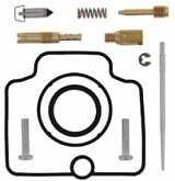 Ремкомплект карбюратора Bearing Worx CK30800