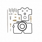 Ремкомплект карбюратора Pro-x 55.10267