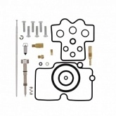 Ремкомплект карбюратора Pro-x 55.10473