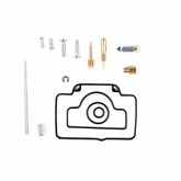 Ремкомплект карбюратора Pro-x 55.10591
