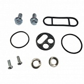 Ремкомплект крана топливного Bearing Worx FCK90013