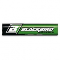 Подушка руля Blackbird E5042/30 Green