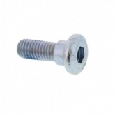 Метиз крепления тормозного диска JMP RCM-207 M8x24