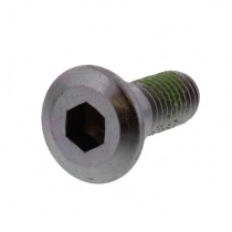 Метиз крепления тормозного диска TRW Lucas MSL008 M8x22