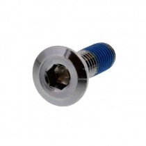 Метизы крепления тормозного диска TRW Lucas MSL010 M8x26