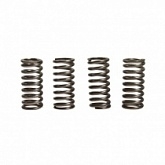 Пружины корзины сцепления Ferodo FSS0116