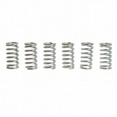 Пружины корзины сцепления TRW Lucas MEF109-6