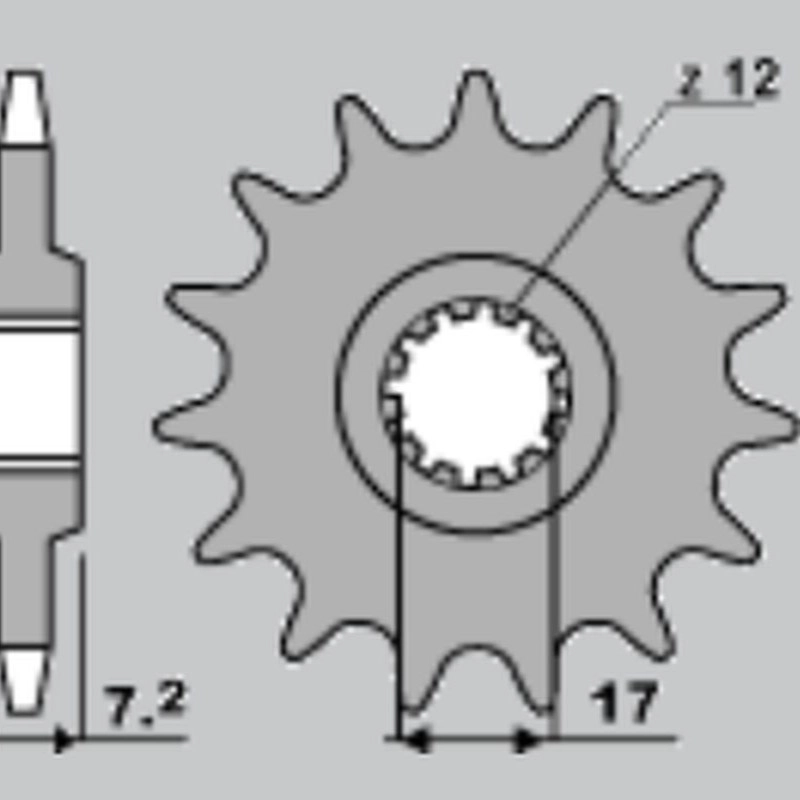 Зірка задня Sifam 446148S