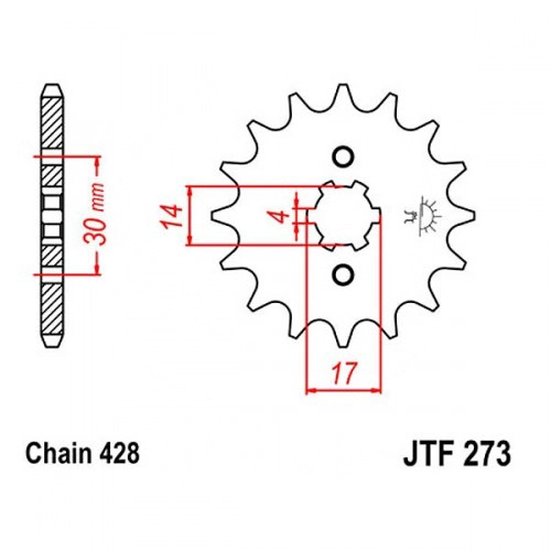 Зірка передня JT JTF273.16
