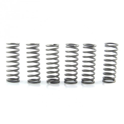 Пружини корзини зчеплення EBC CSK205/6