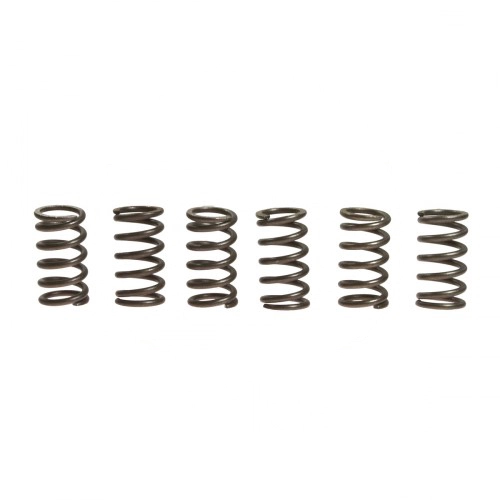 Пружини корзини зчеплення EBС CSK007/6