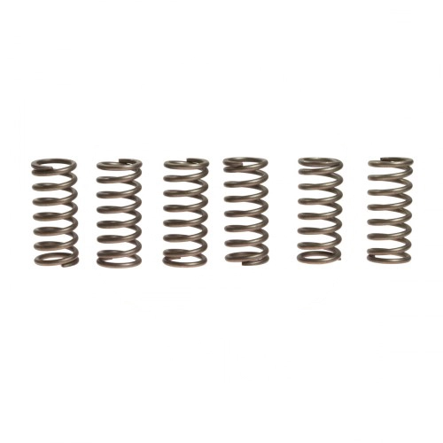 Пружини корзини зчеплення EBС CSK135/6