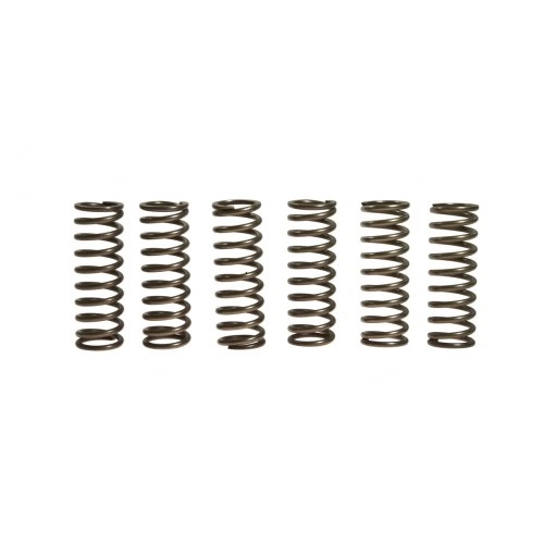 Пружини корзини зчеплення Vesrah SK-263