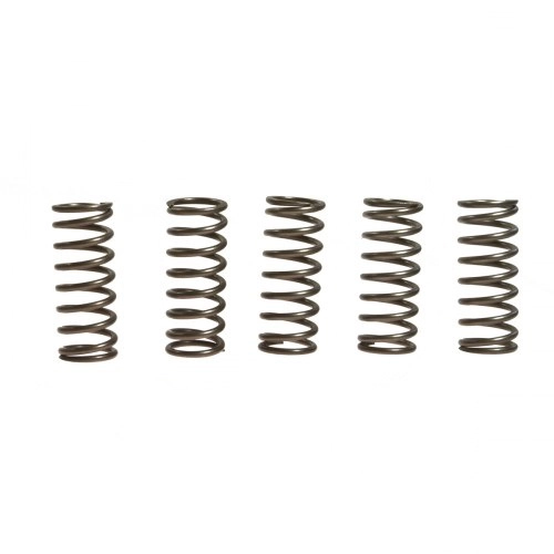 Пружини корзини зчеплення Vesrah SK-449