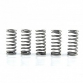 Пружины корзины сцепления EBC CSK132/5