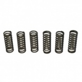 Пружины корзины сцепления EBС CSK075/6